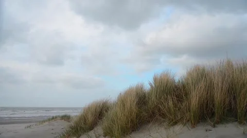 Sandy beach and dunes Stock Footage 45719585