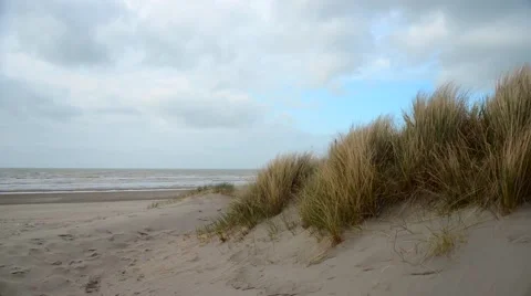 Sandy beach and dunes Stock Footage 45720216