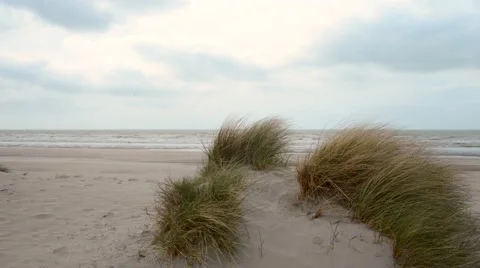 Sandy beach and dunes Stock Footage 45720940
