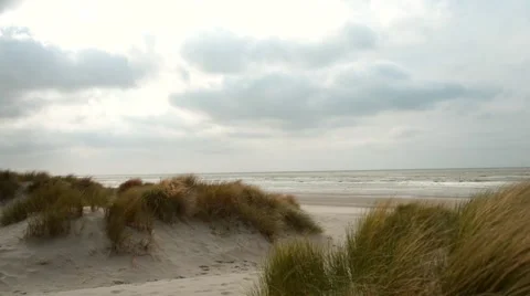 Sandy beach and dunes Stock Footage 45721291