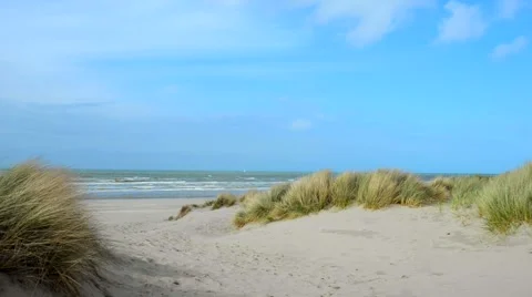 Sandy beach and dunes Stock Footage 45721475
