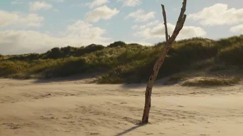 Sandy beach and dunes wind blowing sand scenery stock footage Vídeo Stock 322216563