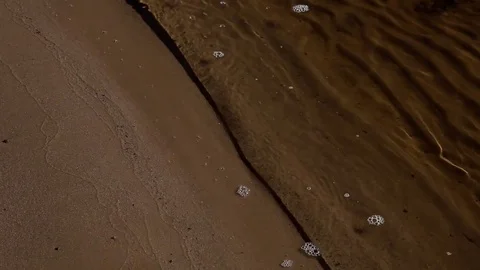 Sandy beach and easy surf waves rolled ashore Stock Footage 80411147