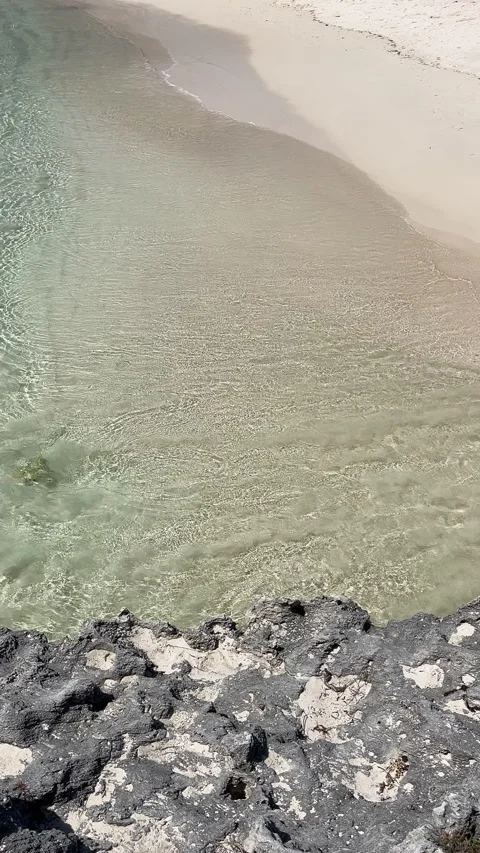 Sandy beach and ocean, vertical shot Stock Footage 304895033
