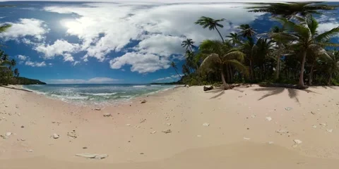 Sandy beach and palm trees. 360 panorama VR. Stock-Footage 142525424
