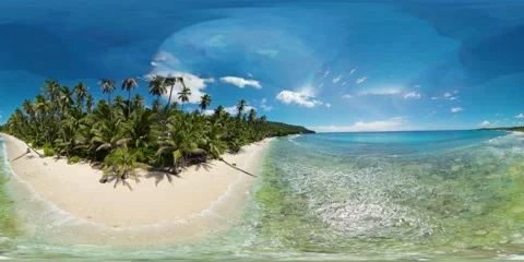 Sandy beach and palm trees. 360 panorama VR. Stock Footage 143749682