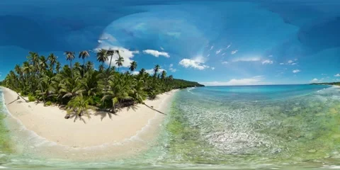 Sandy beach and palm trees. 360 panorama VR. Stock-Footage 145097410