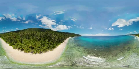 Sandy beach and palm trees. 360 panorama VR. Stock Footage 145871124