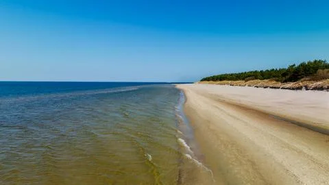 Sandy Beach and Pine Forest Along Turquoise Waters in Palanga Stock Photos