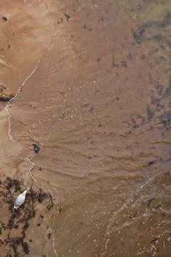 Sandy beach and waves. View from above. Stock Photos