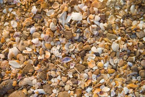 Sandy beach background at the sea Stock Photos