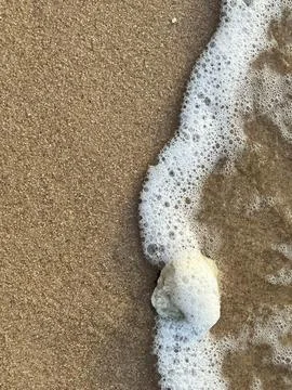 Sandy beach background, shells, white foam waves Stock Photos