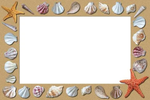 Sandy Beach Background Surrounded by Seashells and Copy Space Stock Photos