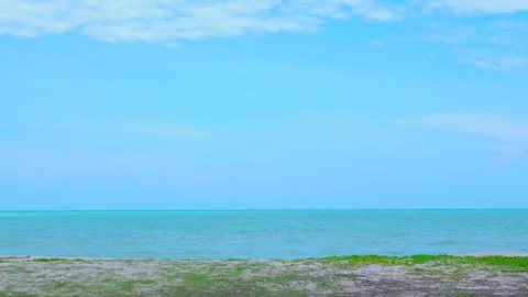Sandy beach with beautiful grass along the vast tropical beach Stock Footage 312864867