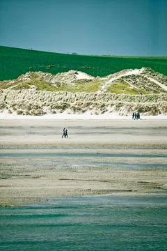 The sandy beach is bordered by a line of green dunes. Stock Photos