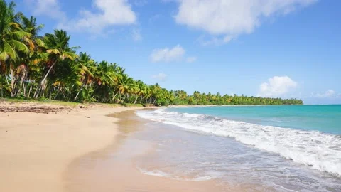 Sandy beach with bright palm trees and turquoise transparent ocean. Stock Footage 237677146