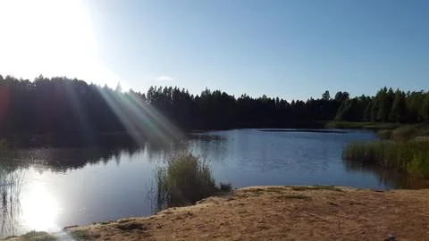 Sandy beach on a calm lake surrounded by green forest under a blue sky Stock Photos