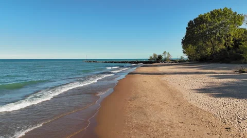 Sandy beach with calm ocean waves, Peaceful beach scene with gentle waves, trees Stock Footage 301526345
