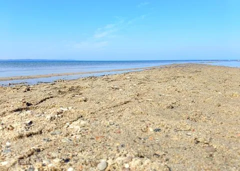 Sandy beach close-up with seashells and pebbles, calm blue sea and clear sk.. Stock Photos