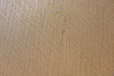 Sandy Beach Close-Up with Shells and Pebbles Stock Photos