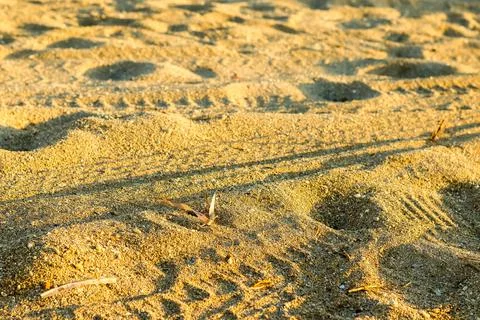 Sandy Beach Closeup View Foto stock