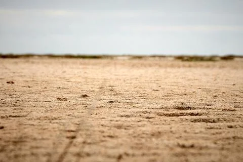 Sandy beach in cloudy weather Stock Photos