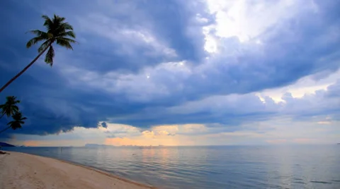 Sandy Beach with Coconut Palms and Impressive Sky. Stock-Footage 39113279