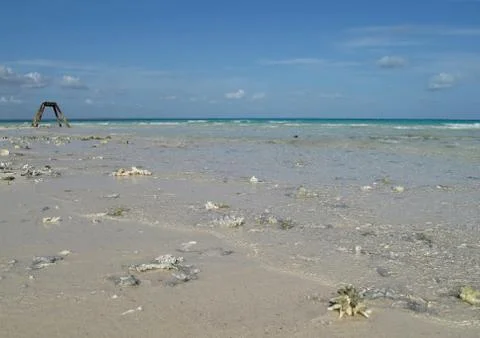 Sandy beach with corals Stock Photos