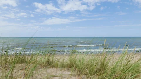 Sandy beach dune with coastal grass and ocean waves on sunny day Stock Footage 346478701