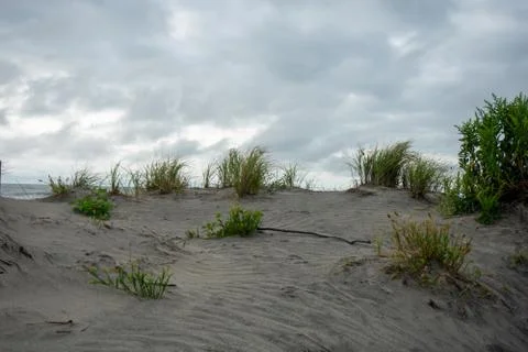 A Sandy Beach Dune With a Dramatic Stormy Sky Over It Stock Photos