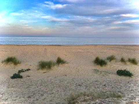 Sandy beach dunes Foto stock