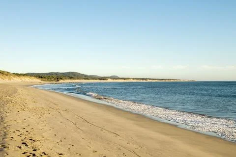 Sandy beach with dunes Stock Photos