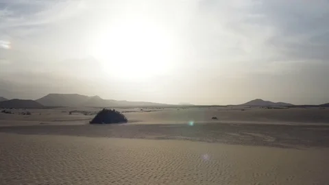 Sandy beach during bright sunny day Video stock 71543178