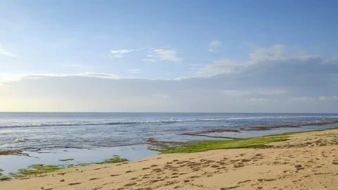 Sandy beach during low tide waves with sea floor covered by green seaweed Video stock 114818970