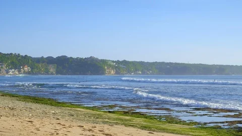 Sandy beach during low tide waves with sea floor covered by green seaweed Video stock 114819030