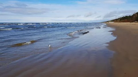 Sandy beach in early spring and light swell on the surface of the bay Stock Photos