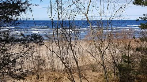 Sandy beach in early spring and light swell on the surface of the bay Foto stock