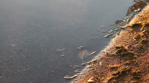 Sandy beach edge Video stock 26148755