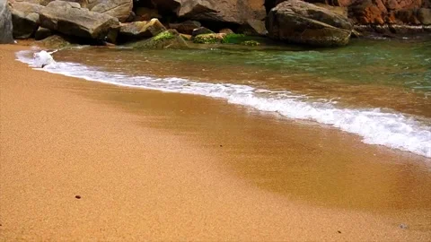 Sandy beach at the edge of the waves Stock Footage 195204192