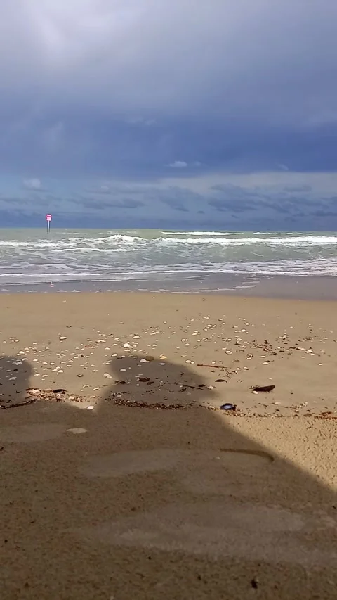 Sandy beach at the end of summer Stock Footage 287736292