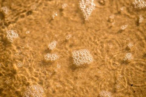 Sandy beach with foam of the surf Stock Photos
