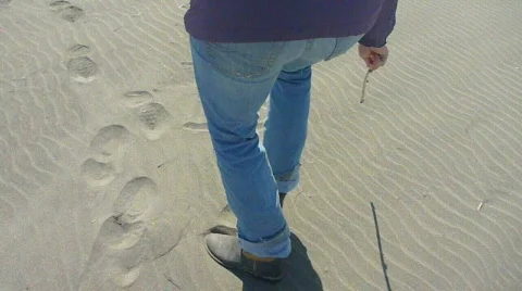 Sandy Beach Stock Footage 814015