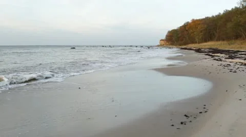 Sandy beach Stock Footage 10575500