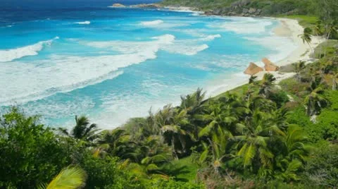 Sandy beach Stock Footage 12160019