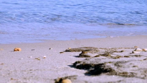 Sandy Beach Stock Footage 75232942