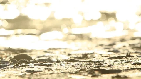 Sandy Beach Stock Footage 79226658