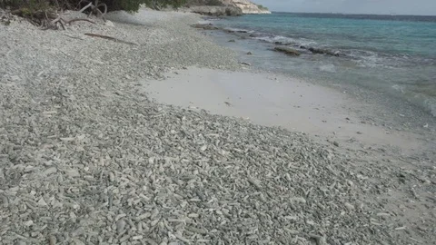 Sandy beach Vídeos de archivo 83318380