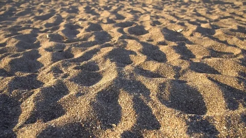 Sandy beach Stock Footage 93760237
