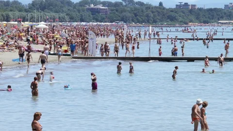 Sandy beach Stock Footage 101658075