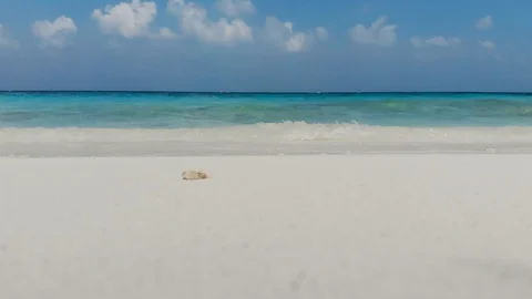 Sandy Beach Stock Footage 102801545